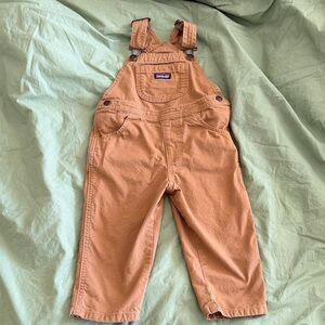 Patagonia Toddler Overalls (3T)